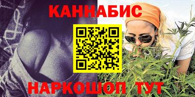 индика Рузаевка