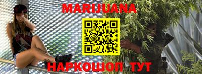 индика Рузаевка