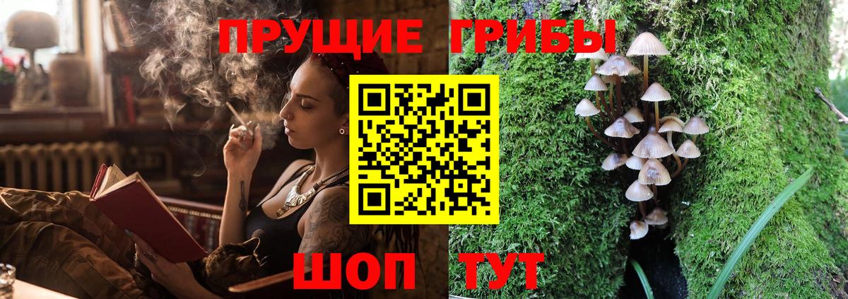 Галлюциногенные грибы Psilocybine cubensis Нижнекамск